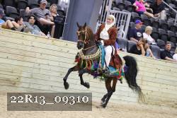 22R13_09310 thumbnail