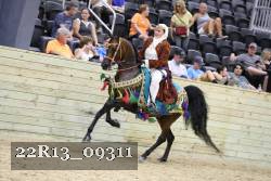 22R13_09311 thumbnail