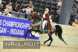 22R13_09312 thumbnail
