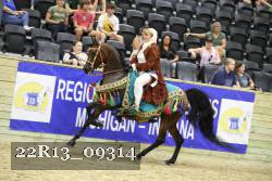 22R13_09314 thumbnail