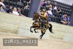 22R13_09315 thumbnail