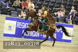 22R13_09318 thumbnail