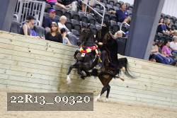 22R13_09320 thumbnail