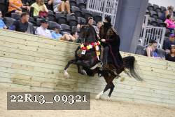 22R13_09321 thumbnail