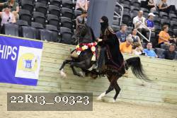 22R13_09323 thumbnail
