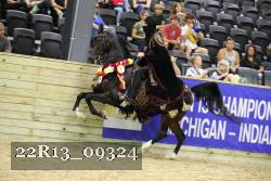 22R13_09324 thumbnail