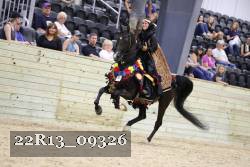 22R13_09326 thumbnail