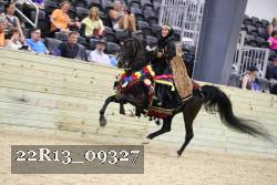 22R13_09327 thumbnail