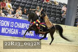 22R13_09328 thumbnail