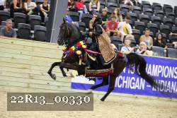 22R13_09330 thumbnail