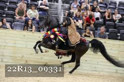 22R13_09331 thumbnail