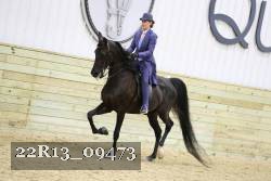 22R13_09473 thumbnail