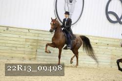 22R13_09498 thumbnail