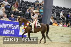 22R13_09600 thumbnail