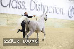 22R13_10089 thumbnail
