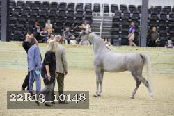 22R13_10148 thumbnail
