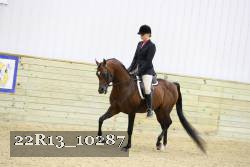 22R13_10287 thumbnail