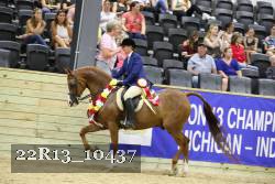 22R13_10437 thumbnail