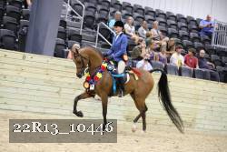 22R13_10446 thumbnail