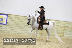 22R13_10731 thumbnail