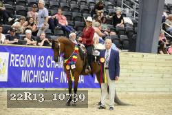 22R13_10739 thumbnail