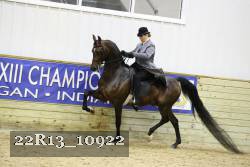22R13_10922 thumbnail