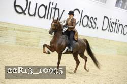 22R13_10935 thumbnail