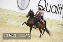 22R13_11155 thumbnail