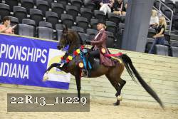 22R13_11229 thumbnail