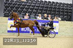 22R13_11250 thumbnail
