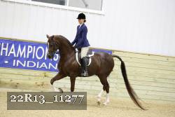 22R13_11277 thumbnail
