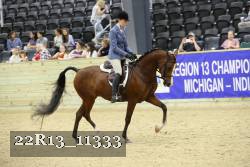 22R13_11333 thumbnail