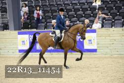 22R13_11454 thumbnail