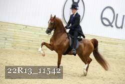 22R13_11542 thumbnail