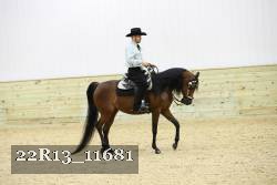 22R13_11681 thumbnail