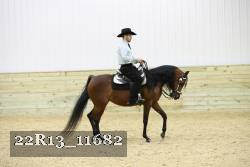 22R13_11682 thumbnail