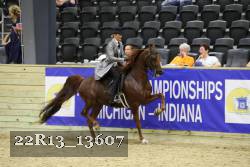 22R13_13607 thumbnail