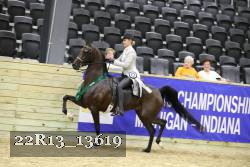 22R13_13619 thumbnail