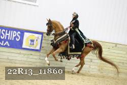 22R13_11860 thumbnail