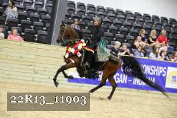 22R13_11903 thumbnail