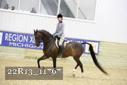 22R13_11767 thumbnail