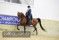 22R13_12022 thumbnail