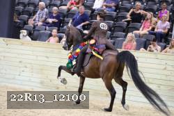 22R13_12100 thumbnail
