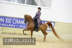 22R13_12114 thumbnail