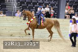 22R13_12257 thumbnail