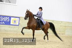 22R13_12317 thumbnail