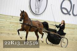 22R13_12546 thumbnail