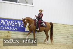 22R13_12642 thumbnail