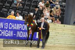 22R13_12769 thumbnail