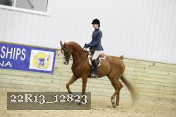 22R13_12823 thumbnail